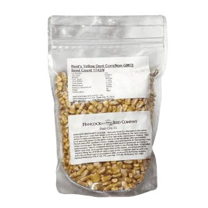 Wholesale Dent Corn