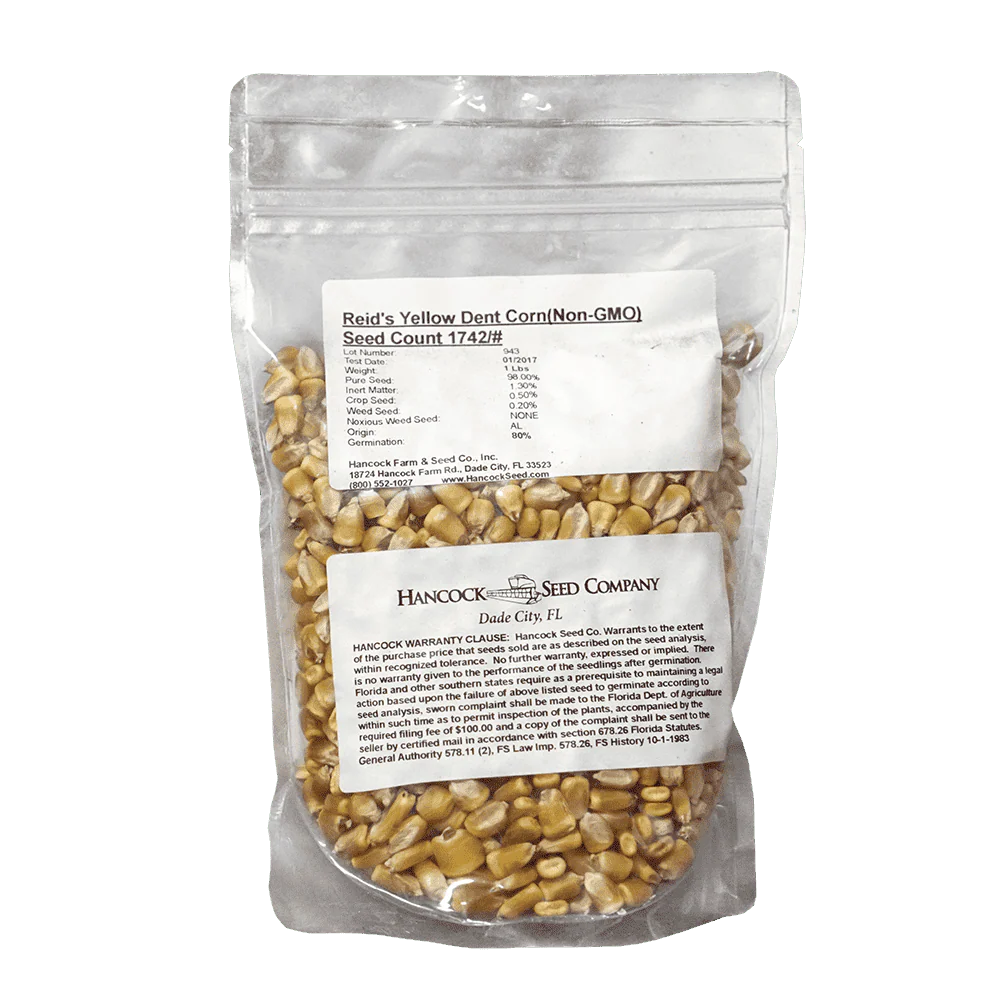 Reid's yellow dent corn